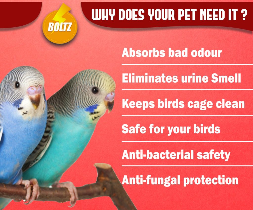 Boltz Antibacterial Bird Litter Spray (200Ml) boltzpetcare