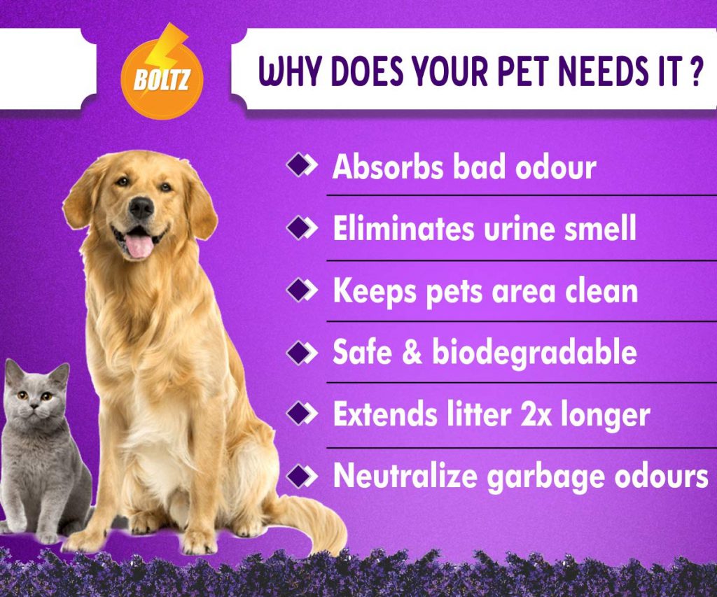 Boltz Odour and Urine Smell Remover with Lavender,200 ml boltzpetcare