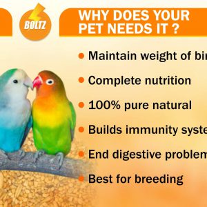 Boltz Bird Food for Budgies – Mix Seeds 1200 Gm