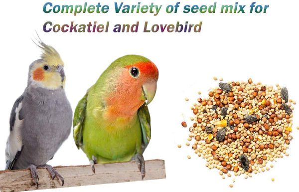 lovebird seed mix